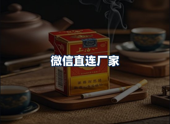 专业团队办公环境